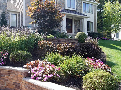 Shrubs & Plants, Wyckoff, NJ