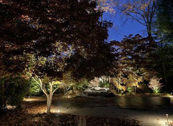 Landscape Lighting
